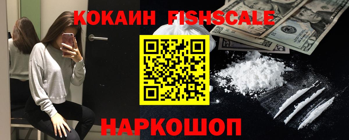 Кокаин Fish Scale  Вход с VPN  Елизово 