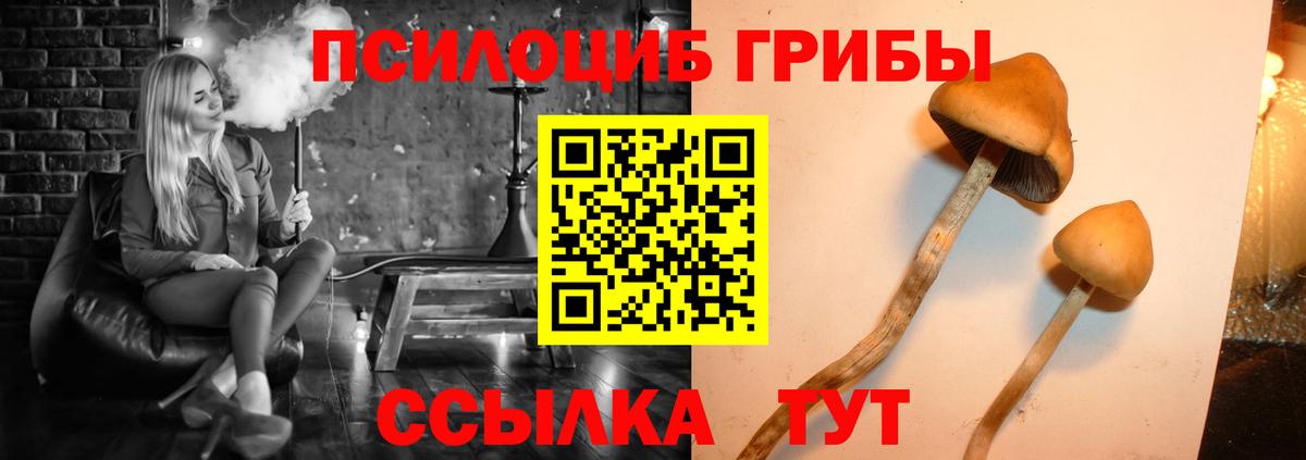 Псилоцибиновые грибы мицелий Елизово