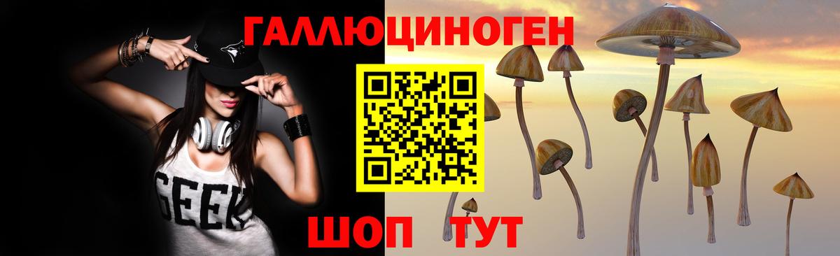 Псилоцибиновые грибы Psilocybe  что такое наркотик  Вход с VPN  Елизово  Галлюциногенные грибы Psilocybine cubensis 